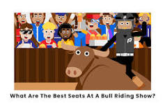 What are the best seats at the Houston Rodeo?