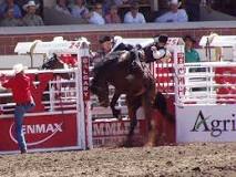 Where is the biggest rodeo in California?