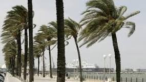 ¿Qué viento va a realizar hoy en Cádiz capital?