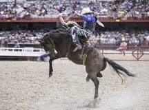 Where is the biggest rodeo in California?
